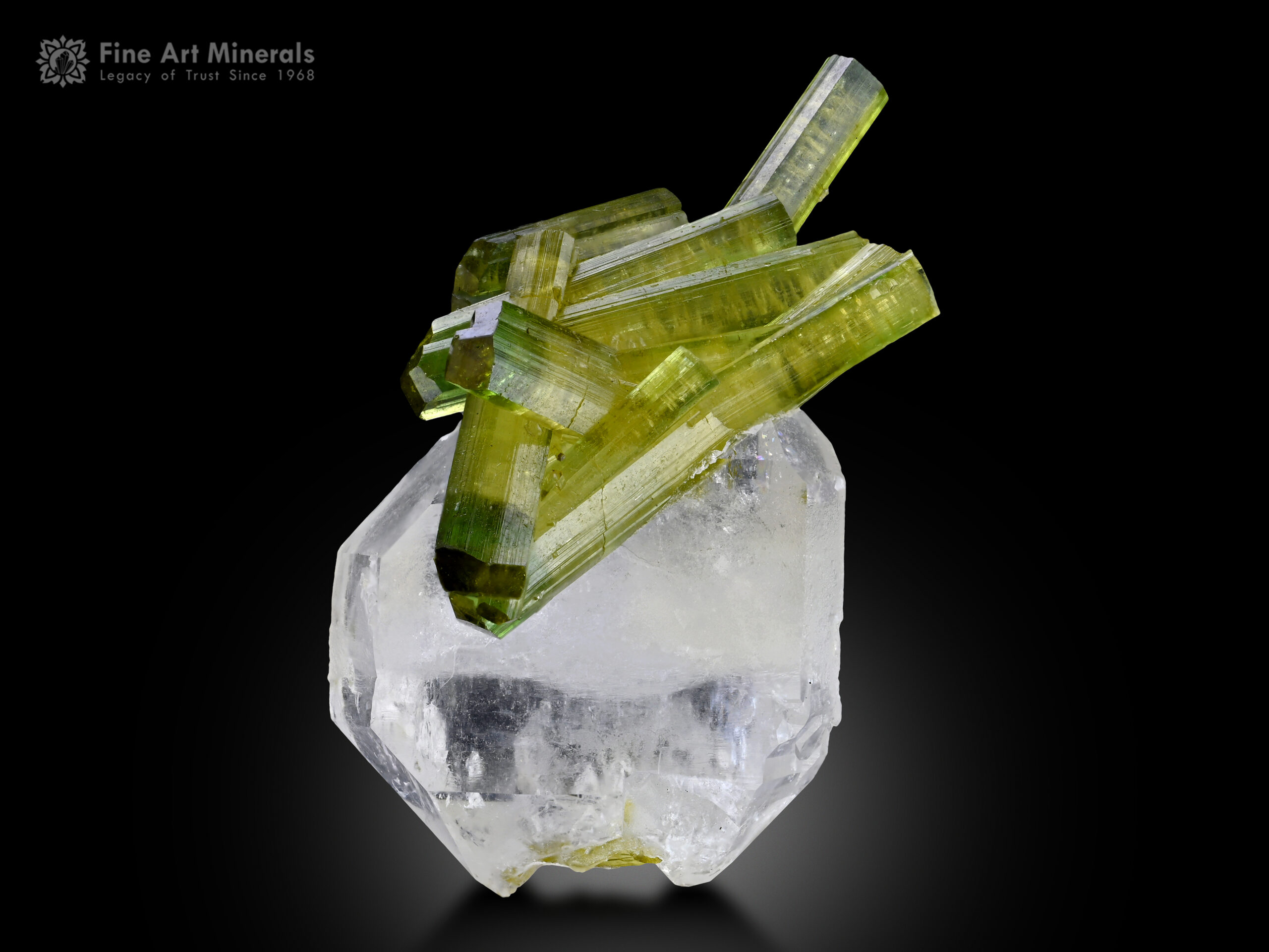 Tourmaline with Quartz from Pakistan