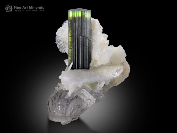 Green Cap Tourmaline with Quartz