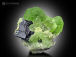 Peridot with Magnetite from Pakistan