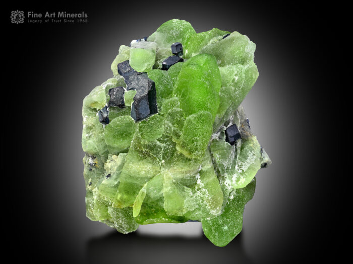 Peridot with Magnetite from Pakistan