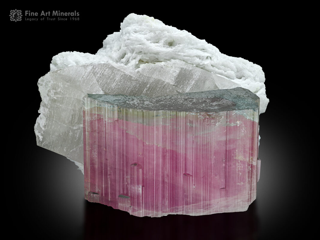 Tourmaline with Quartz and Albite