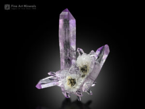 A fine gemmy cluster of quartz var. amethyst from Mexico.