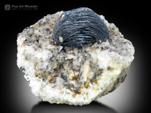 Hematite flower on matrix from Tormiq Valley, Pakistan