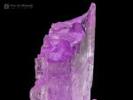 Spodumene var. kunzite from Paprok, Kamdesh District, Nuristan, Afghanistan.