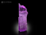 Spodumene var. kunzite from Paprok, Kamdesh District, Nuristan, Afghanistan.