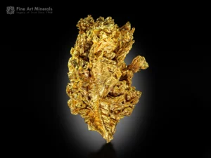 129g of pure gold in dramatic 3D form with hoppered growth, bright yellow color, and brilliant luster from a famed locale.