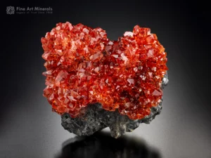A fine mineral specimen, rhodochrosite from the famous N'Chwaning Mines, Kuruman, Kalahari, Manganese Field, Northern Cape, South Africa, is for sale.