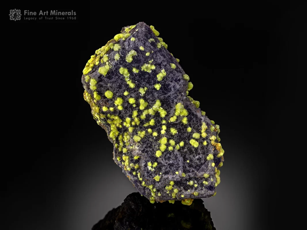An exceptional and rare Carlhintzeite specimen featuring vibrant yellow crystals scattered over a rich purple matrix.