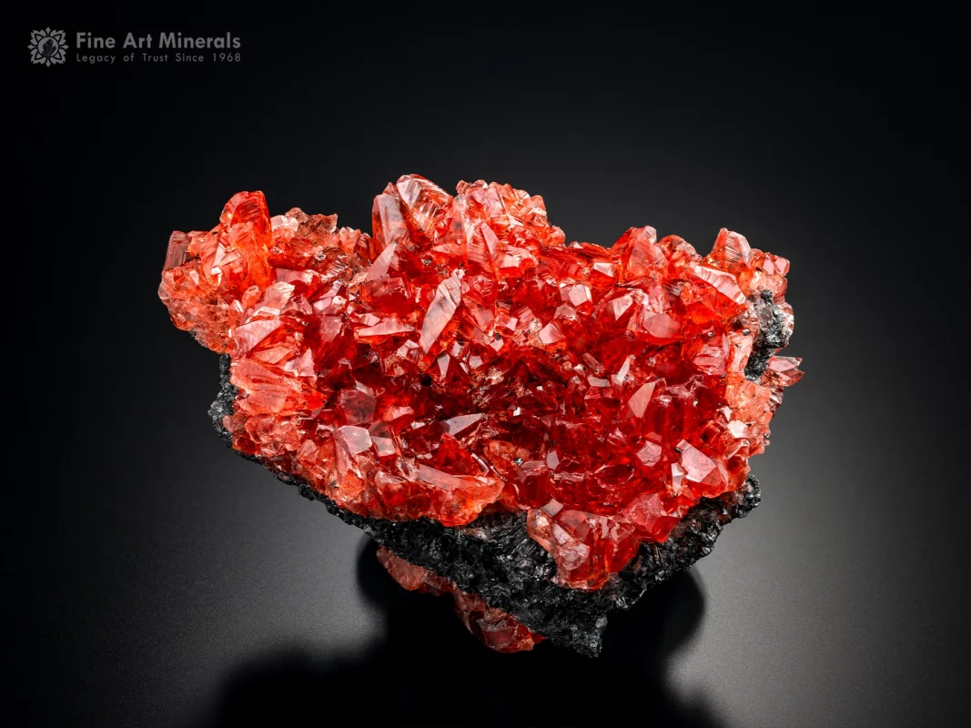 Fine rhodochrosite specimen from N’Chwaning Mines with vibrant red-pink crystals, excellent luster, and pristine condition, perfect for any top-tier mineral collection, for sale.