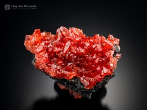 Fine rhodochrosite specimen from N’Chwaning Mines with vibrant red-pink crystals, excellent luster, and pristine condition, perfect for any top-tier mineral collection, for sale.