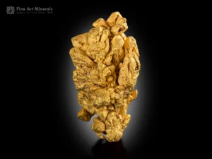 Visually striking 88 g fine gold specimen with rich color and robust, three-dimensional form. Completely intact and in pristine condition. A rare miniature for sale.