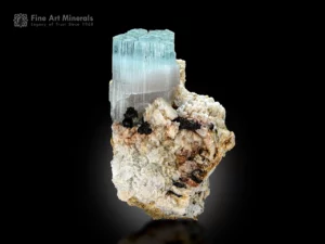 Bi-color beryl crystal with aquamarine and morganite from Skardu, Pakistan, on columbite matrix.