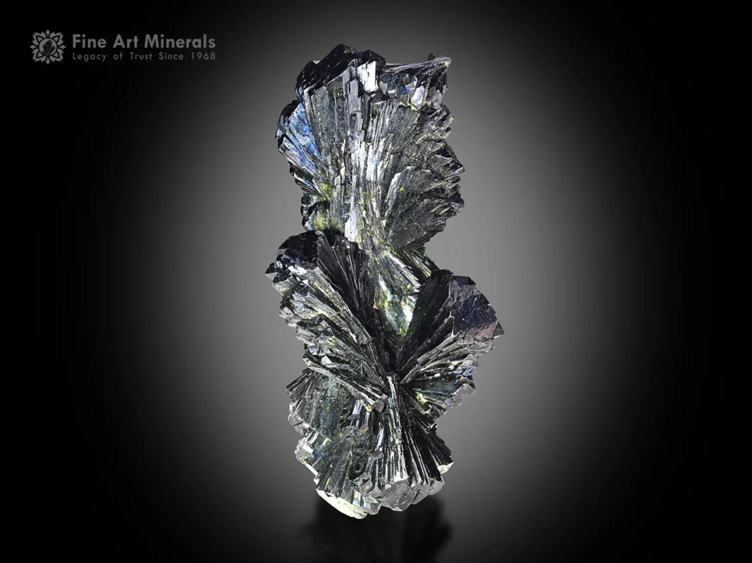 Pristine bow-tie epidote crystals with sharp luster and green sheen, multiple crystals grown together from Pakistan.