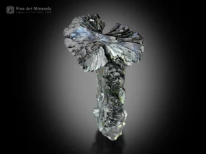Epidote crystal in bow tie formation from Kharan District, Pakistan.