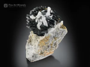 Lustrous black hematite rosettes with snowy white adularia and golden pyrite crystals from Tormiq Valley, Pakistan.