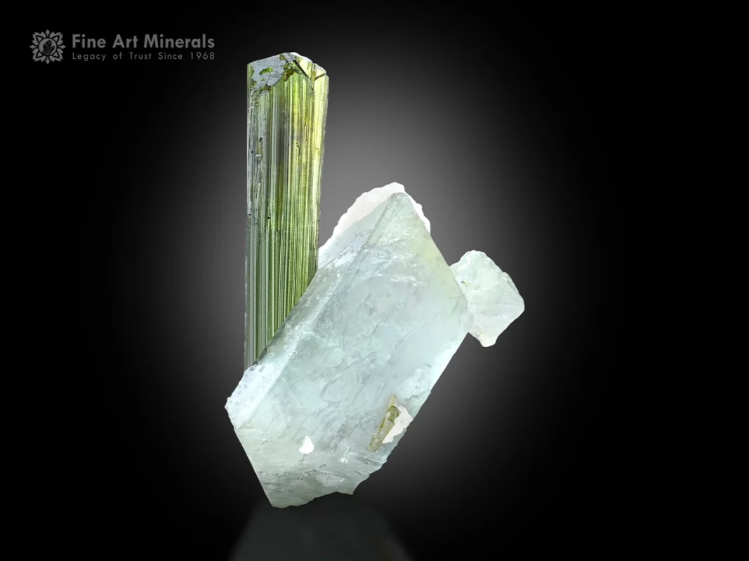 Thumbnail specimen featuring a pristine herderite crystal with epidote, tiny tantalite, and albite matrix, showing excellent aesthetics.