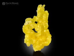 Fine brucite specimen with vivid lemon yellow color and lustrous surface from Qilla Saifullah, Pakistan.