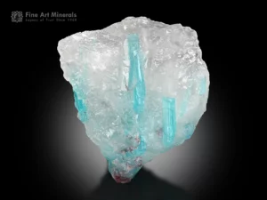 Blue paraiba tourmaline crystals protruding from a white quartz matrix, a rare and highly desirable mineral specimen.