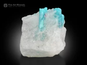 Bright blue Paraiba tourmaline crystals protruding from a white quartz matrix, a rare and highly desirable mineral specimen.