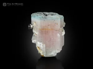 Beryl crystal with blue aquamarine and pink morganite zoning, associated with schorl and albite, 7.1 cm tall, from Skardu, Pakistan.