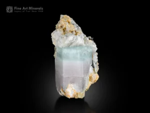 Bi-color beryl crystal with aquamarine top and morganite base on matrix with black columbite from Skardu, Pakistan.