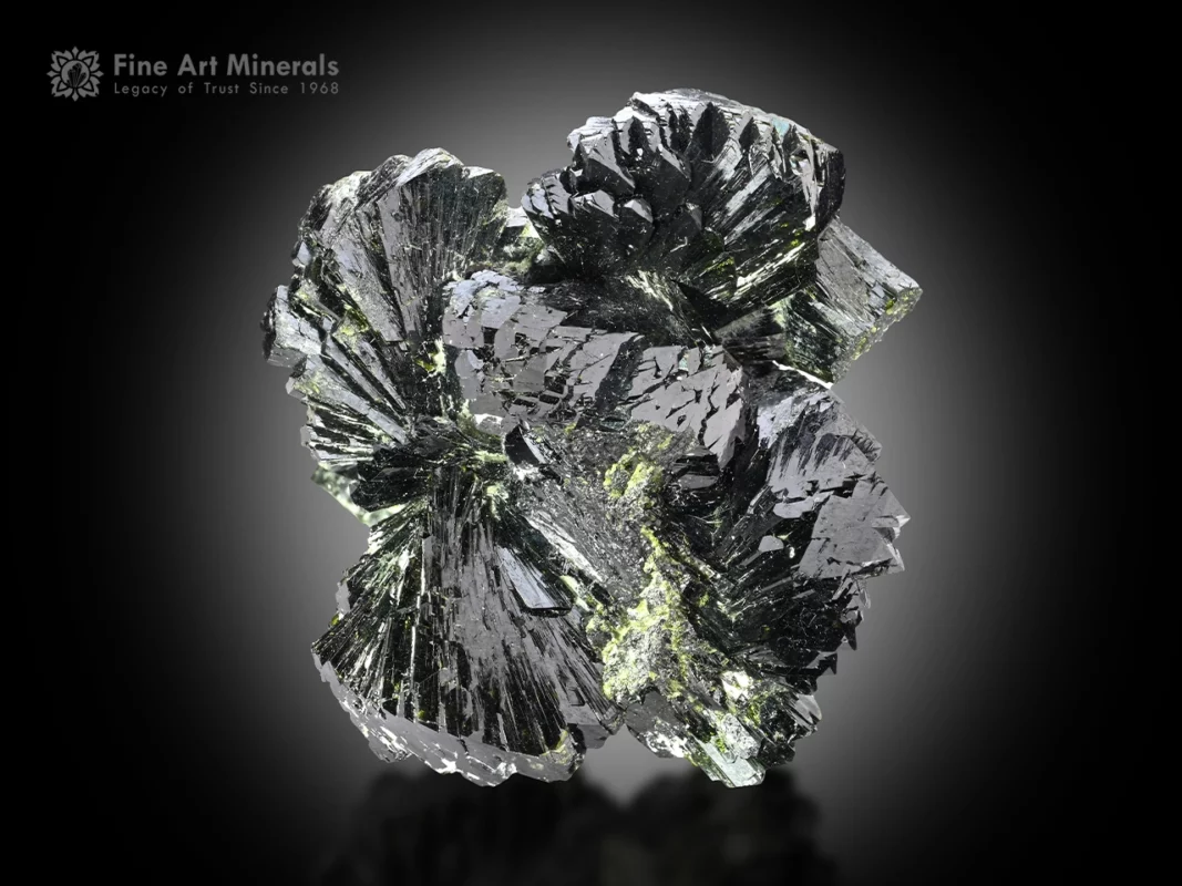 Exceptional bow-tie cluster of epidote featuring sharp radial crystal formations, brilliant luster, and subtle green reflections.