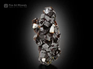 Cluster of lustrous dark reddish-brown andradite garnet crystals with contrasting white feldspar on an elongated matrix.