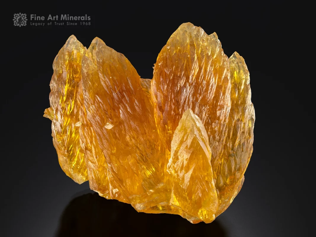 Golden-orange calcite crystal cluster from Dalen-Kjorholt Mine, Norway – radiating lanceolate crystals with silky luster.