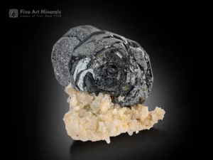Sharp hematite “Iron Rose” crystal cluster on contrasting albite matrix with metallic luster and refined symmetry.