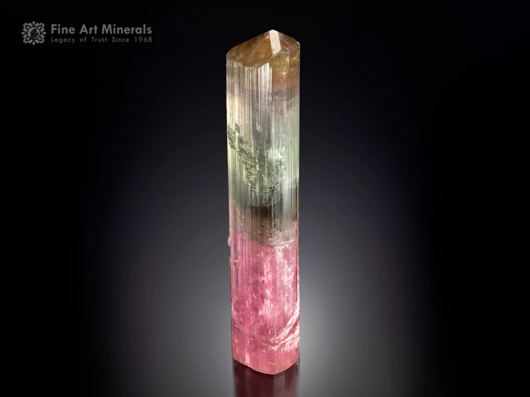 Tourmaline crystal from Himalaya Mine, California — large cabinet specimen with pink, green, and golden zoning.