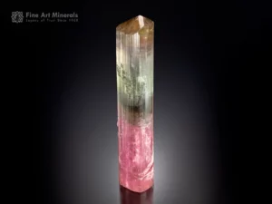 Tourmaline crystal from Himalaya Mine, California — large cabinet specimen with pink, green, and golden zoning.