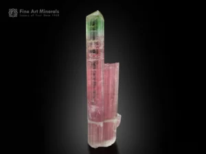Bicolor Tourmaline crystal with parallel growth from Paprok, Afghanistan — cabinet specimen with vivid pink and green zoning.