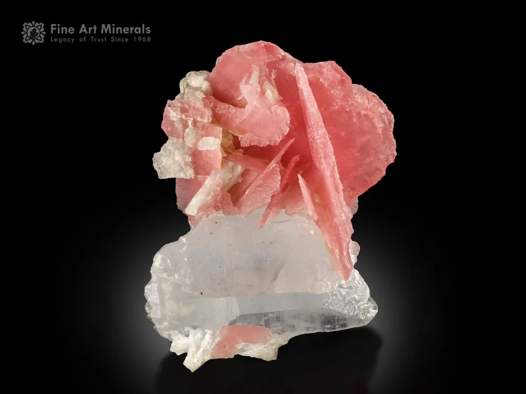 Rhodochrosite with Quartz and Albite from Shigar Valley, Pakistan — small cabinet specimen with sharp-bladed pink crystals.