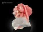 Rhodochrosite with Quartz and Albite from Shigar Valley, Pakistan — small cabinet specimen with sharp-bladed pink crystals.