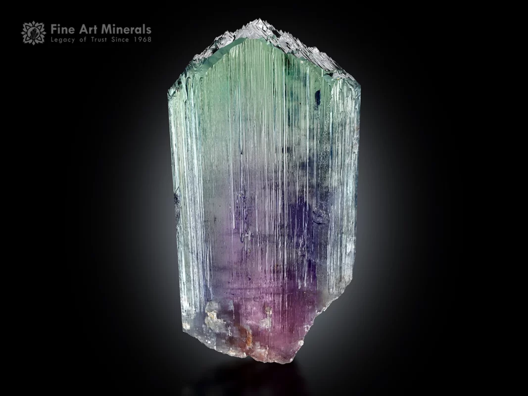 Large Afghan kunzite crystal, 24 × 12.5 × 3 cm, 2.2 kg, with vivid blue, purple, and yellow hues and etched tooth-like termination from Nuristan Province, Afghanistan.
