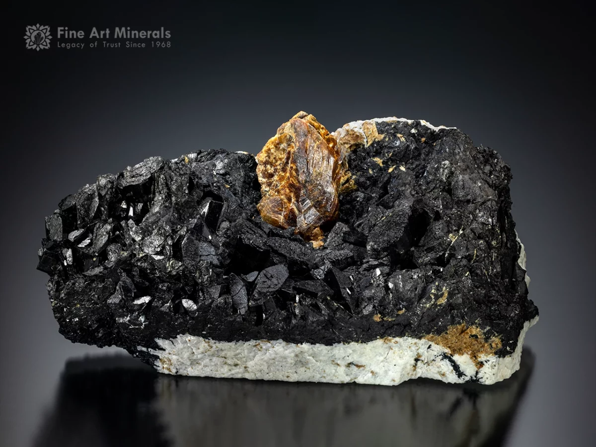 Titanite with Chevkinite from Chilas, Pakistan — large cabinet specimen with 4.3 cm honey-yellow Titanite crystal and contrasting black Chevkinite.
