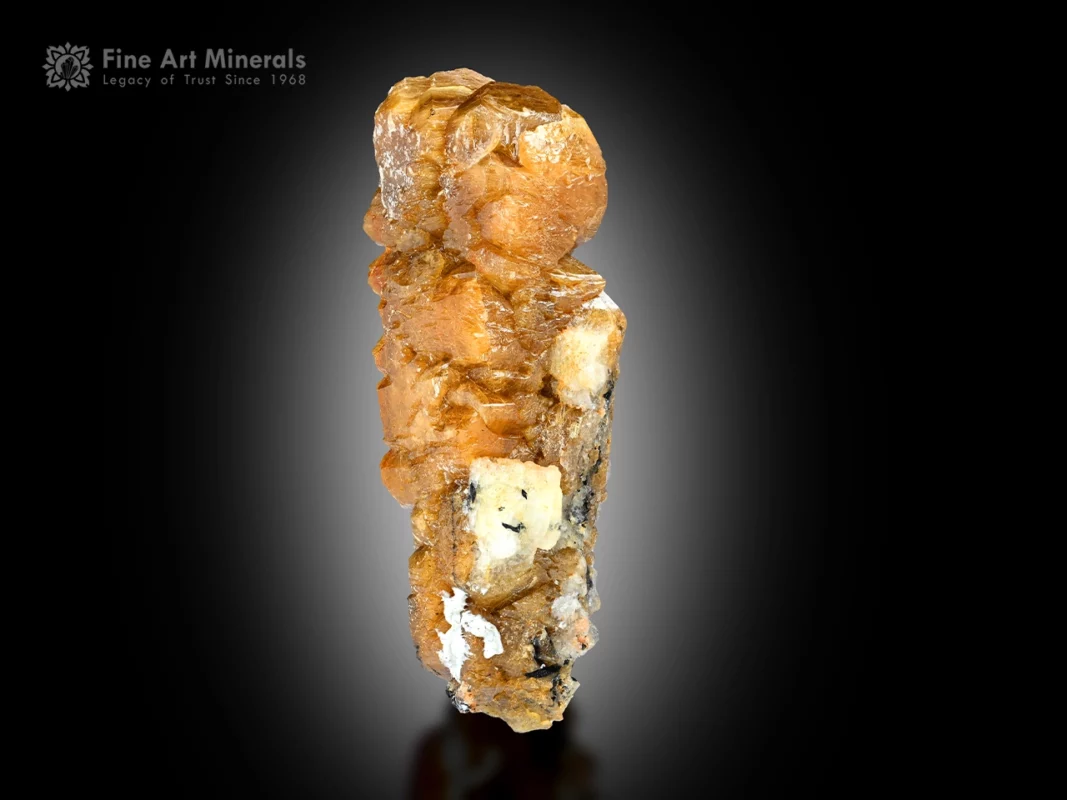 Golden-brown xenotime crystal from Zagi Mountain, Pakistan, with lustrous surfaces, elongated form, and twisted crystal growth.