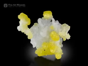 Brilliant yellow brucite crystals with white contrast from Qilla Saifullah, Balochistan, Pakistan