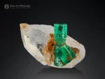 Emerald crystal on clear quartz from Panjshir Valley, Afghanistan, showing fine color and sharp form.