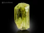 Yellow-green triphane spodumene crystal showing fine luster, striations, and natural termination from Mawi Pegmatite, Afghanistan