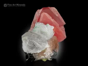 A vivid multicolored mineral specimen featuring pink-red rhodochrosite crystals with transparent quartz, snowy albite, yellow apatite, and black schorl from Pakistan.