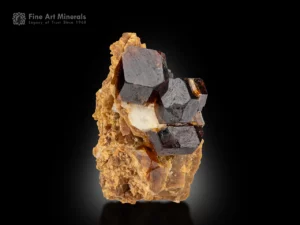 Amber-brown andradite garnet crystals on a contrasting matrix with sharp faces and high luster.