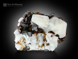 Andradite garnet with feldspar featuring sharp honey brown crystals perched on bright white feldspar with excellent contrast and luster.
