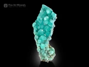 Elongated blue-green aragonite with azurite spray on the back from Afghanistan.