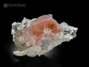 Peach morganite crystal transitioning to aquamarine on white cleavelandite and albite matrix from Afghanistan.