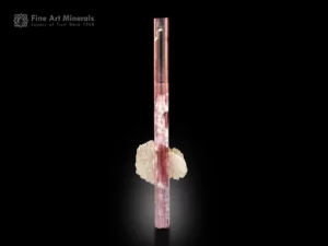 Pink tourmaline crystal with calcite plates attached to the prism, elongated and transparent, 7.8 cm tall.