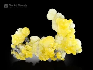 Sculptured lemon-yellow brucite cabinet specimen from Pakistan with vivid, rounded clusters and contrast on the matrix.