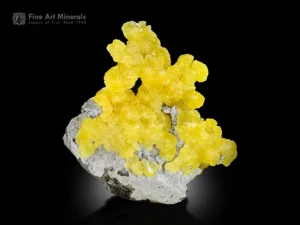 Fine mineral specimen of lemon yellow brucite from Pakistan, showing bright, rounded clusters on pale matrix.