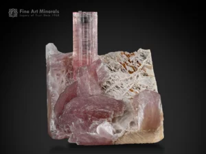 Gemmy pink tourmaline crystal rising from lepidolite and albite matrix from Pakistan.