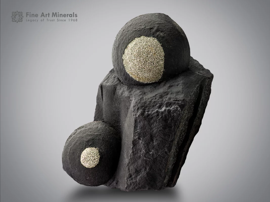 Metallic pyrite crystals forming concentric golden rings on dark shale matrix from China.